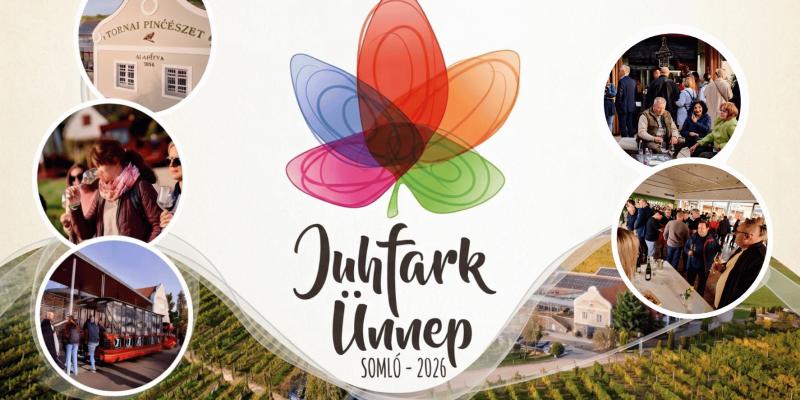 Tornai SJÜ 2026 - Eszter Popovics.png