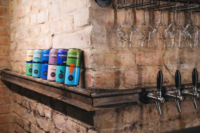 fozdetura_balatonfoldvar - Dóri Lakner.jpg