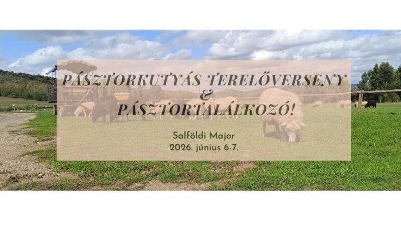 pasztorkutyas-tereloverseny-es-pasztortalalkozo-salf- - Lilla Vida.jpg